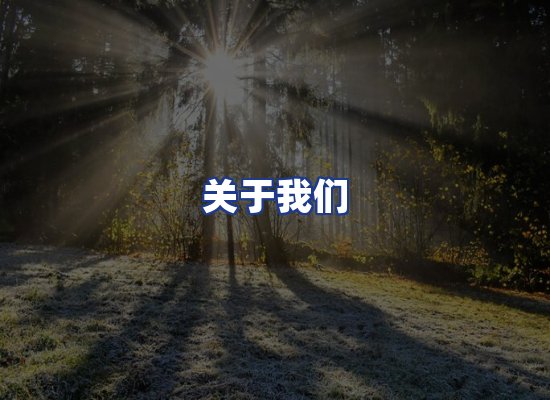 专业团队